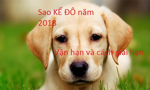 Những tuổi nào bị sao Kế Đô chiếu mạng năm 2018 và lễ cúng giải hạn đúng cách nhất? 